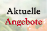 Aktuelle Angebote