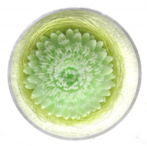 Blüte Apfelgrün in klarer Dose