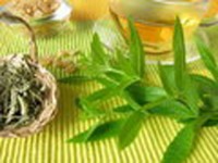 Fragrance oil -  lemon verbena